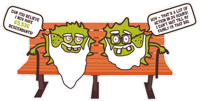 Two old Plaque bugs on a bench Two old Plaque bugs on a bench