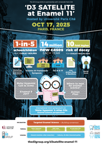 D3 Satellite E-11 Flyer Pic